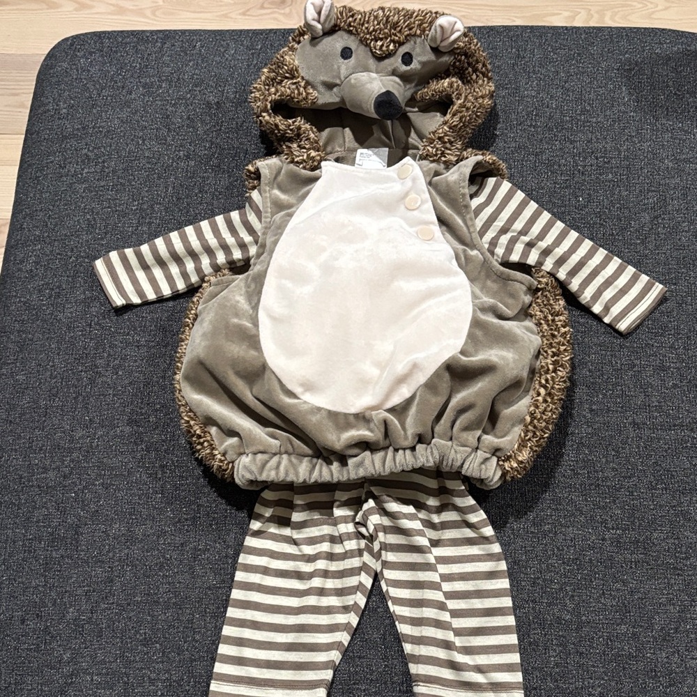 Adorable Hedgehog Costume for Kids